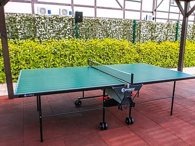 настольный теннис в загородном комплексе «Лубенская Слобода» в живописном уголке Полтавщины, всего в двух километрах от исторического города Лубны