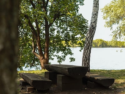 Загородный комплекс «Орлиное гнездо» — это сочетание природы, комфорта и разнообразных возможностей для отдыха.