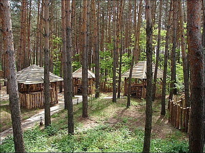 беседки в сосновом лесу в загородном комплексе «Первый Кордон» в селе Медведевка Черкасской области