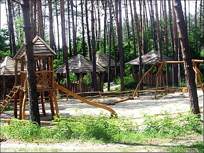 детская площадка в сосновом лесу в загородном комплексе «Первый Кордон» в селе Медведевка Черкасской области