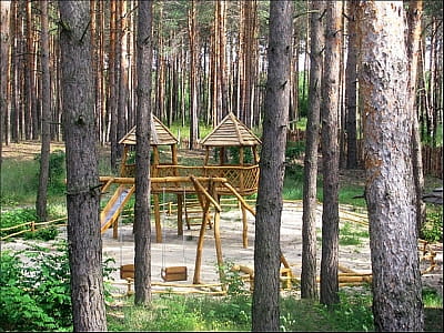 детская площадка в сосновом лесу в загородном комплексе «Первый Кордон» в селе Медведевка Черкасской области