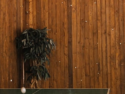 настольный теннис в комплексе отдыха «Пляж» в городе Тернополь 