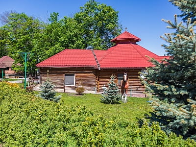 Загородный комплекс «Розовый слон» — это удачное сочетание природы, удобного расположения и разнообразных возможностей для отдыха. 