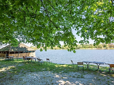 Загородный комплекс «Розовый слон» — это зеленая зона отдыха недалеко от Кропивницкого, расположенная на берегу живописной реки. 