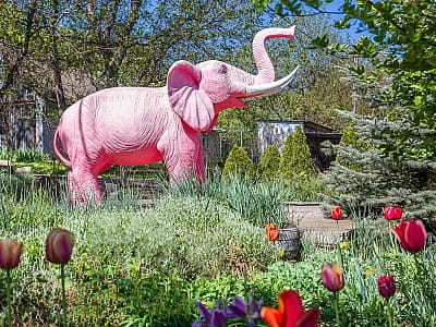 Загородный комплекс «Розовый слон» — это удачное сочетание природы, удобного расположения и разнообразных возможностей для отдыха. 