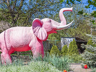 Загородный комплекс «Розовый слон» — отдых у реки рядом с Кропивницким