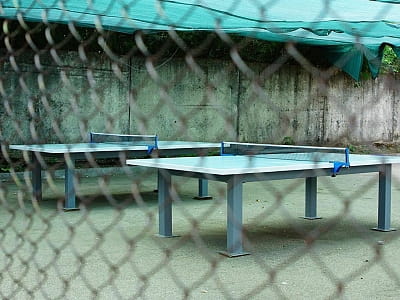 настольный теннис в загородном комплексе «Розовый слон» в Кировоградской области