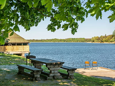 Загородный комплекс «Розовый слон» — это зеленая зона отдыха недалеко от Кропивницкого, расположенная на берегу живописной реки. 