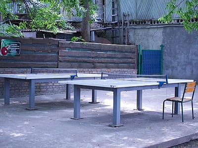 настольный теннис в загородном комплексе «Розовый слон» в Кировоградской области