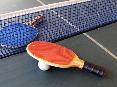 настольный теннис в загородном комплексе Зеленая усадьба Дилиева в городе Александрия