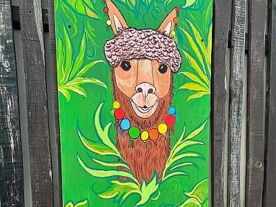 Alpaca Home — контактная ферма возле Ровно с альпаками, козлятами и кроликами. Прогулки на природе, фото и отдых для всей семьи.