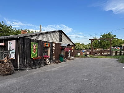 Alpaca Home — контактная ферма возле Ровно с альпаками, козлятами и кроликами. Прогулки на природе, фото и отдых для всей семьи.