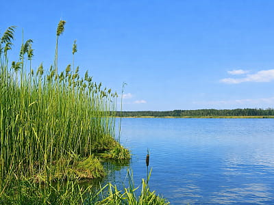 Озеро Долгое возле Шацка — спокойная жемчужина Шацких озер