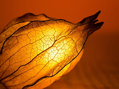 Музей Идей во Львове — живая галерея и художественная лаборатория, где идеи не хранятся молча за витринами, а рождаются, развиваются и превращаются в события, выставки и проекты.