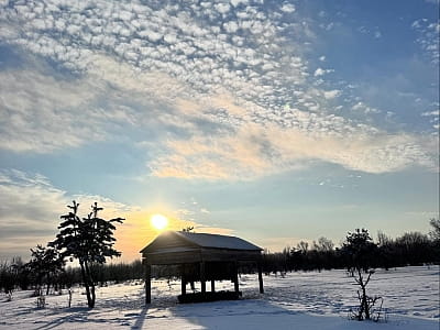 Оленьий парк «На рогах» под Киевом — это не просто туристическая локация, а настоящее пространство восстановления природы и надежды.