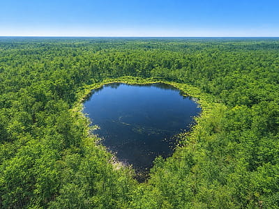 Озеро Навратье (Закранье) — самое маленькое сердцевидное озеро Шацких озер возле Шацка. Дикая природа, болота и уникальные ландшафты Волыни.
