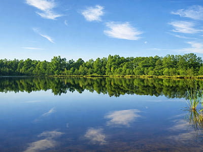 Озеро Рытец возле Шацка — небольшой карстовый водоем с красноватой водой, лесными берегами и возможностью спокойного отдыха и рыбалки.