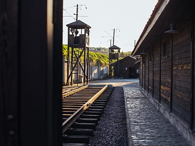 Мемориальный музей тоталитарных режимов «Территория террора» во Львове — это важное пространство памяти, рассказывающее о трагических страницах истории середины ХХ века. 