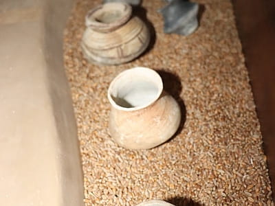 Уникальные памятники истории, археологии, природы и искусства, отражающие развитие края с древнейших времен до современности в центральноукраинском областном краеведческом музее в Кропивницком