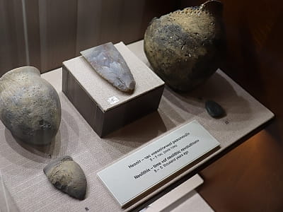 Уникальные памятники истории, археологии, природы и искусства, отражающие развитие края с древнейших времен до современности в центральноукраинском областном краеведческом музее в Кропивницком