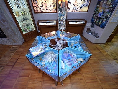 Коллекции Центральноукраинского областного краеведческого музея поражают разнообразием и масштабом — здесь собраны уникальные памятники истории, археологии, природы и искусства, отражающие развитие края с древнейших времен до современности. 