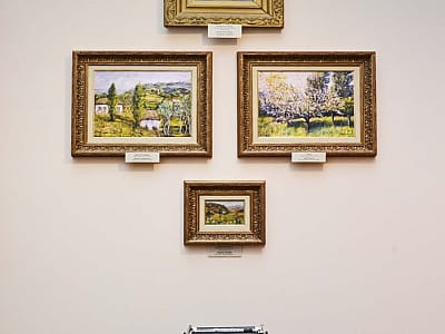 Уникальные памятники истории, археологии, природы и искусства, отражающие развитие края с древнейших времен до современности в центральноукраинском областном краеведческом музее в Кропивницком