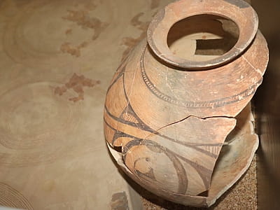 Уникальные памятники истории, археологии, природы и искусства, отражающие развитие края с древнейших времен до современности в центральноукраинском областном краеведческом музее в Кропивницком