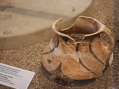 Уникальные памятники истории, археологии, природы и искусства, отражающие развитие края с древнейших времен до современности в центральноукраинском областном краеведческом музее в Кропивницком