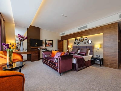 номера в загородном комплексе ARDEN PALACE Medical Resort & SPA в поселке Сатанов Хмельницкой области