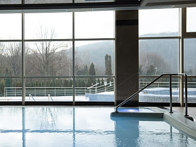 СПА-центр в загородном комплексе ARDEN PALACE Medical Resort & SPA в поселке Сатанов Хмельницкой области