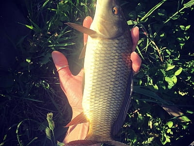 Любительская рыбалка на пруду в загородном комплексе «Rancho» в селе Лесовые Гриновцы недалеко от города Хмельницкий