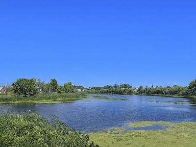 Река Уборть на Житомирском Полесье: истоки, природа, рыбалка, история и лучшие места для отдыха и путешествий вдоль живописной полесской реки.