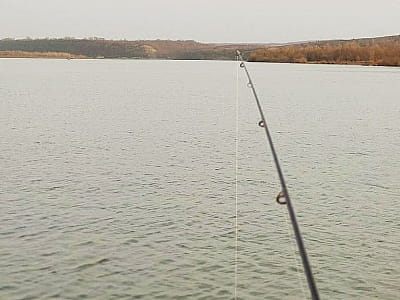 рыбалка в загородном комплексе «Воллен» на берегу Днестра