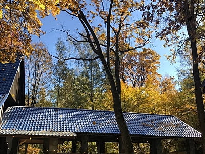 Загородный комплекс «Ягода-Малина»: отдых в лесу, бассейн, ресторан, баня, комфортабельные номера и домики. Идеальное место для отдыха и проведения мероприятий.