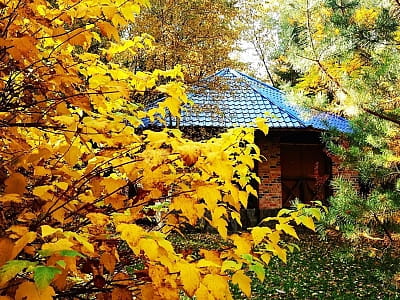 беседки в загородном комплексе «Ягода-Малина» в селе Головчинцы Хмельницкой области