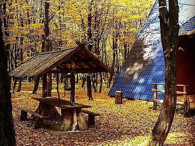 беседки в загородном комплексе «Ягода-Малина» в селе Головчинцы Хмельницкой области