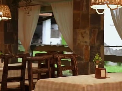 Сказочный ресторан «Лесная фея» в загородном комплексе «Ягода-Малина» в селе Головчинцы Хмельницкой области