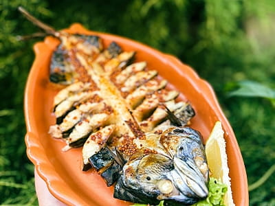 Популярные блюда для отдыха на природе: мясные блюда, закуски, напитки и барбекю в загородном комплексе АТК «Дача», расположенном в 7 км от Хмельницкого по Винницкой трассе