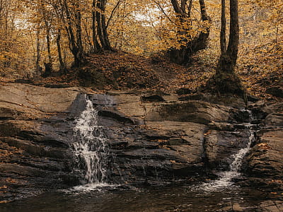 Водопад Ореховица — живописный каскад на реке Симони недалеко от Ужгорода. Описание, история, как добраться и что посмотреть поблизости в Закарпатье.