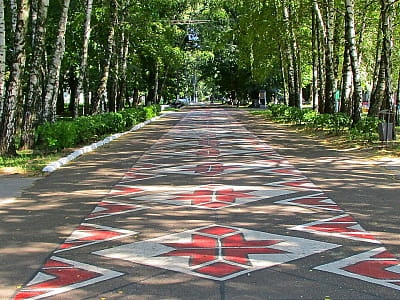Згуровский дендропарк — исторический парк Киевской области с озерами, аллеями и редкими деревьями. Идеальное место для отдыха, прогулок и знакомства с природой.