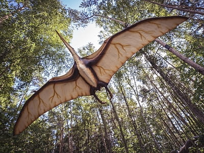 прогуляться среди гигантских динозавров в DinoPark Берегово в селе Яноши Закарпатской области