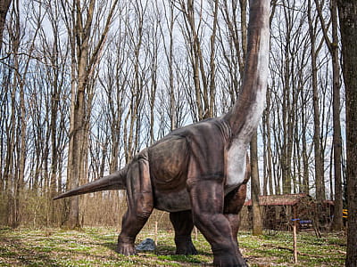 прогуляться среди гигантских динозавров в DinoPark Берегово в селе Яноши Закарпатской области