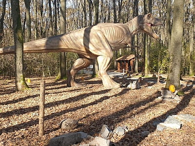 прогуляться среди гигантских динозавров в DinoPark Берегово в селе Яноши Закарпатской области