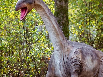 прогуляться среди гигантских динозавров в DinoPark Берегово в селе Яноши Закарпатской области