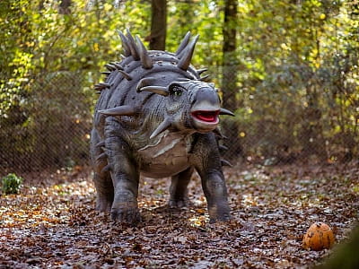 прогуляться среди гигантских динозавров в DinoPark Берегово в селе Яноши Закарпатской области