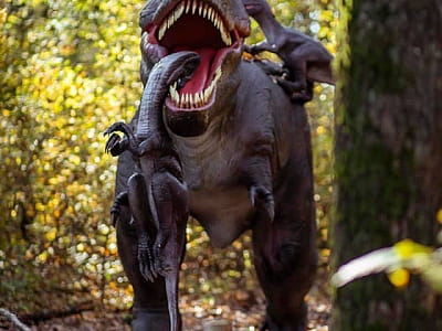 прогуляться среди гигантских динозавров в DinoPark Берегово в селе Яноши Закарпатской области