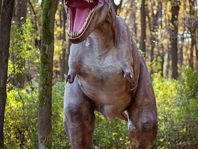 прогуляться среди гигантских динозавров в DinoPark Берегово в селе Яноши Закарпатской области