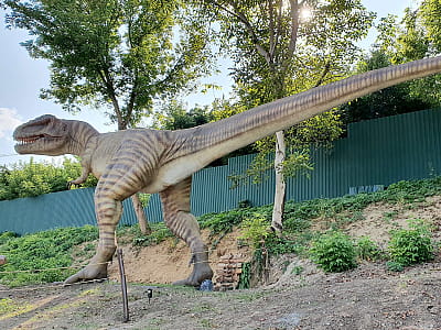 Парк DinoSofia в Умани — крупнейший динопарк Украины с движущимися динозаврами, фотозонами и интерактивными развлечениями для всей семьи.