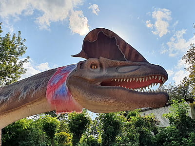Парк DinoSofia в Умани — крупнейший динопарк Украины с движущимися динозаврами, фотозонами и интерактивными развлечениями для всей семьи.