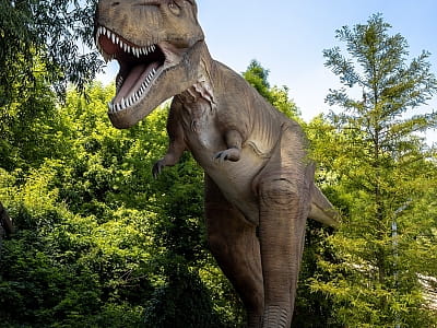 Парк DinoSofia в Умани — крупнейший динопарк Украины с движущимися динозаврами, фотозонами и интерактивными развлечениями для всей семьи.